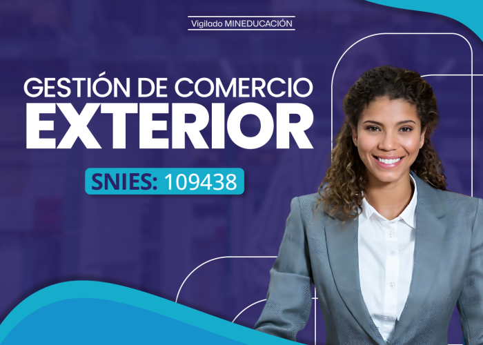 Programa - gestión comercio exterior